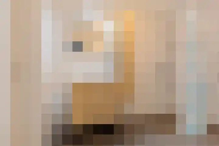 Goeman Borgesiusstraat 34 Veenoord thumbnail 25