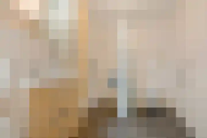 Goeman Borgesiusstraat 34 Veenoord thumbnail 26