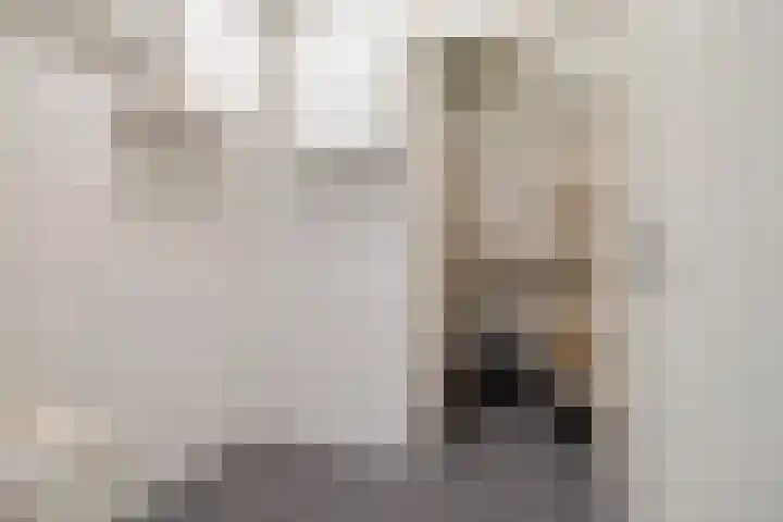 Goeman Borgesiusstraat 34 Veenoord thumbnail 29