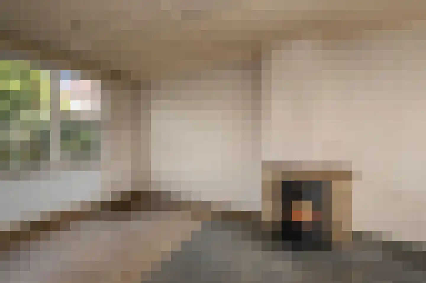 Goeman Borgesiusstraat 62 Zaandijk thumbnail 10