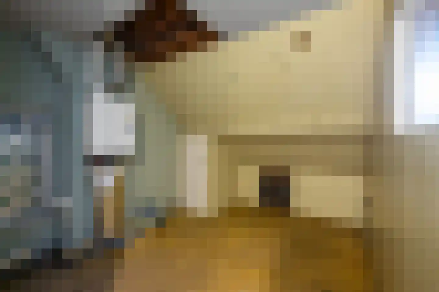 Goeman Borgesiusstraat 62 Zaandijk thumbnail 27