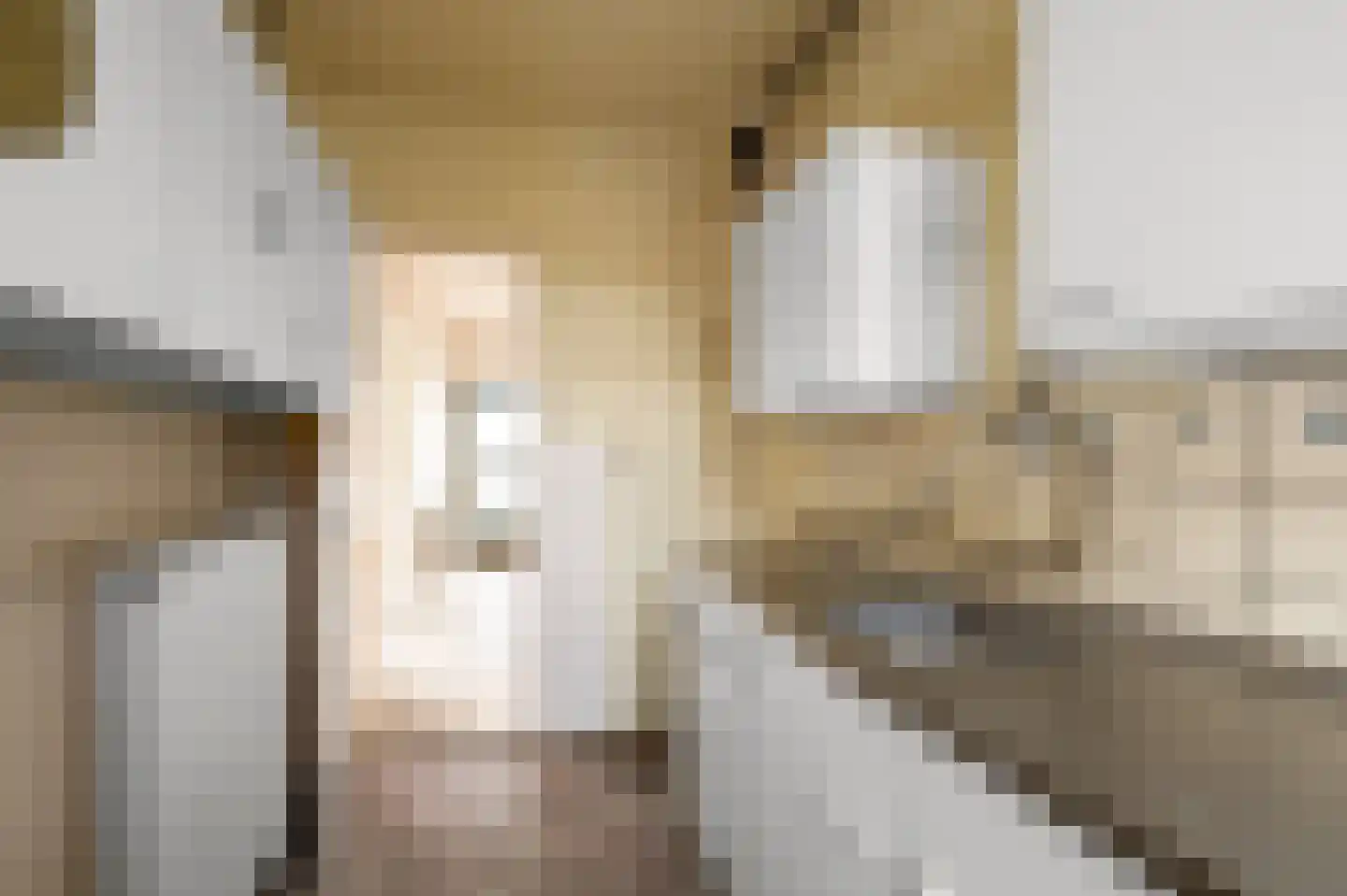 Goeman Borgesiusstraat 62 Zaandijk thumbnail 6