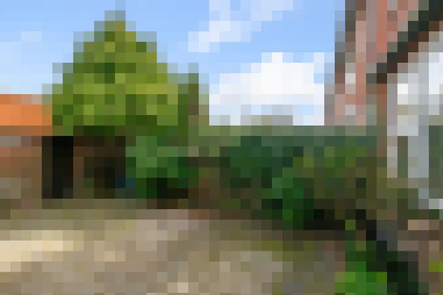 Goeman Borgesiusstraat 62 Zaandijk thumbnail 9