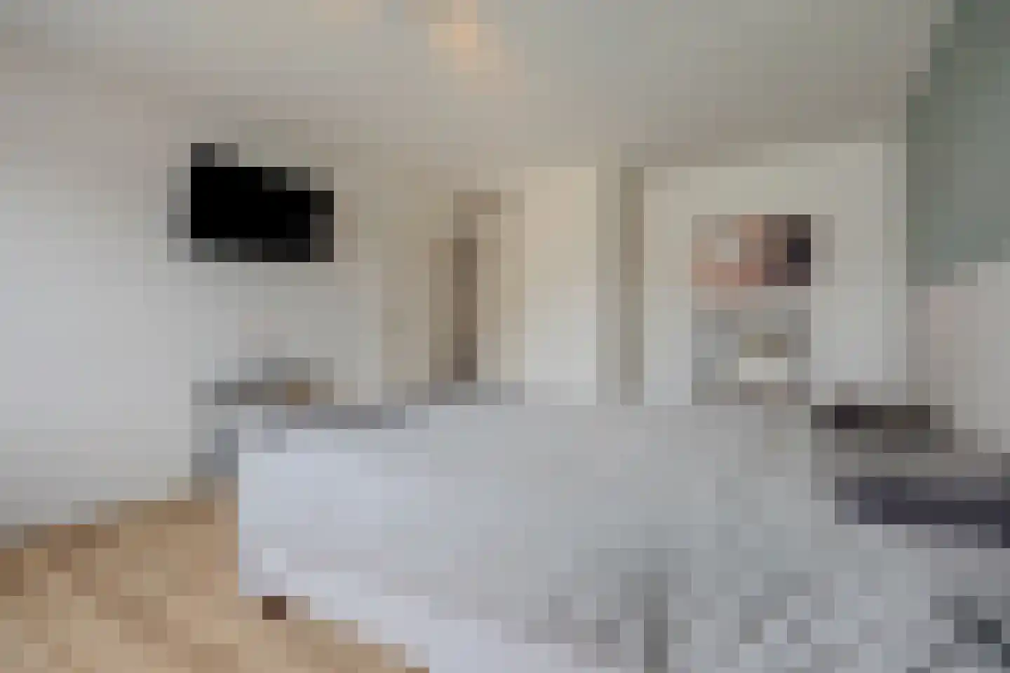 Goeman Borgesiusstraat 66 Twello thumbnail 18