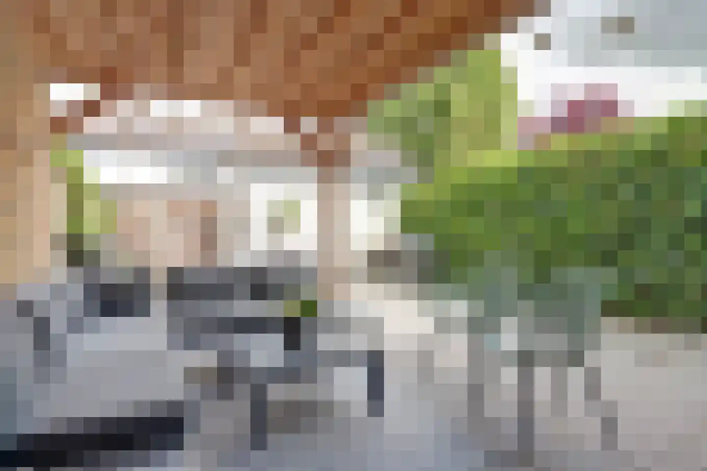 Goeman Borgesiusstraat 66 Twello thumbnail 31