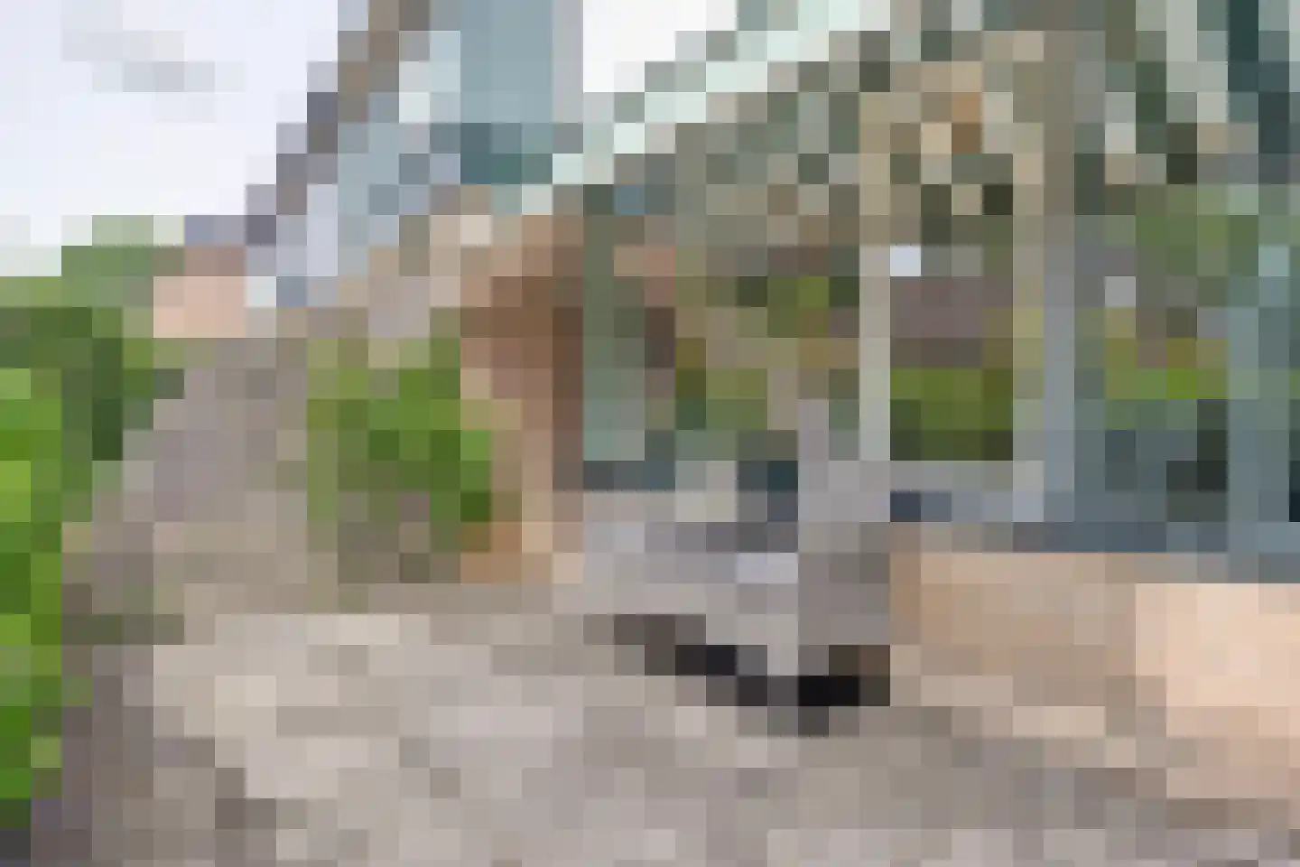 Goeman Borgesiusstraat 66 Twello thumbnail 4