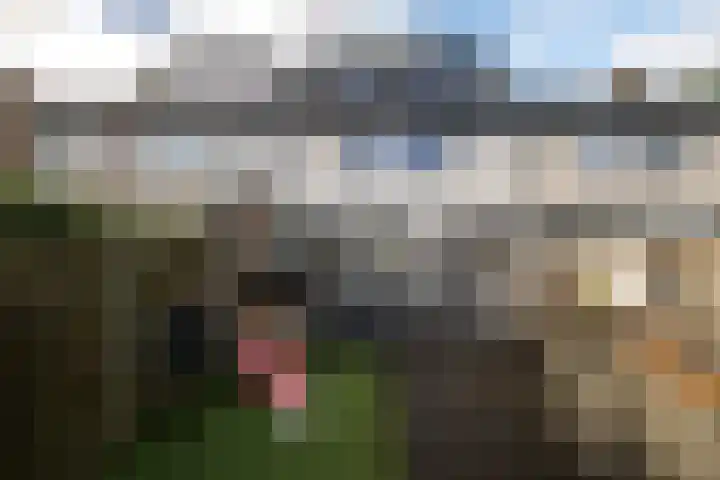 Goeman Borgesiusstraat 76 Twello thumbnail 31
