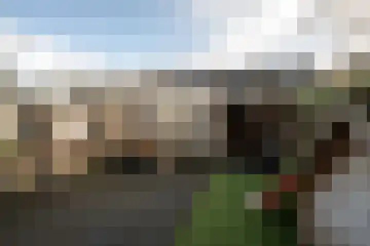 Goeman Borgesiusstraat 76 Twello thumbnail 33
