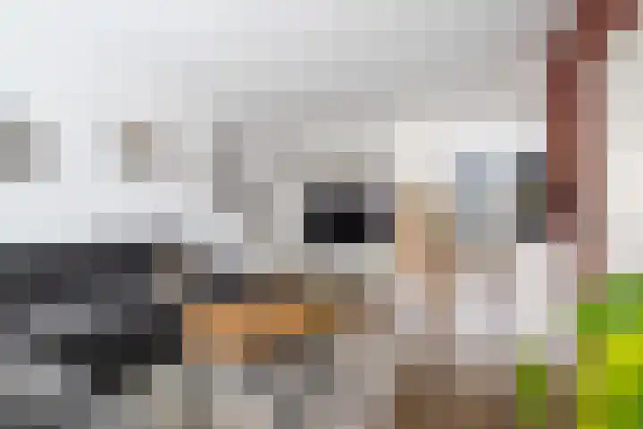 Goeman Borgesiusstraat 76 Twello thumbnail 7