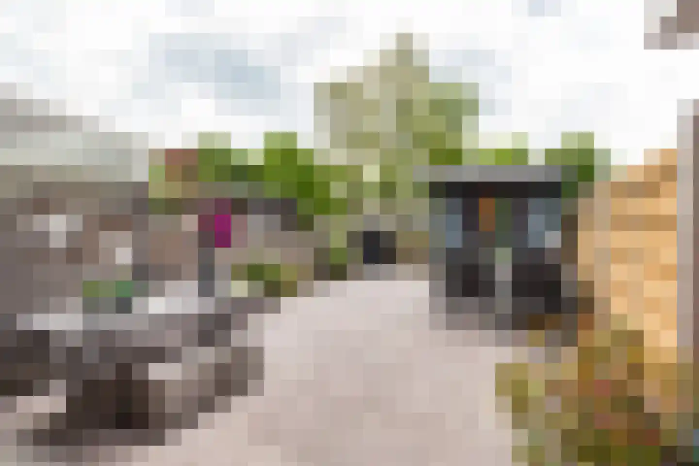 Goeman Borgesiusstraat 78 Amsterdam thumbnail 15