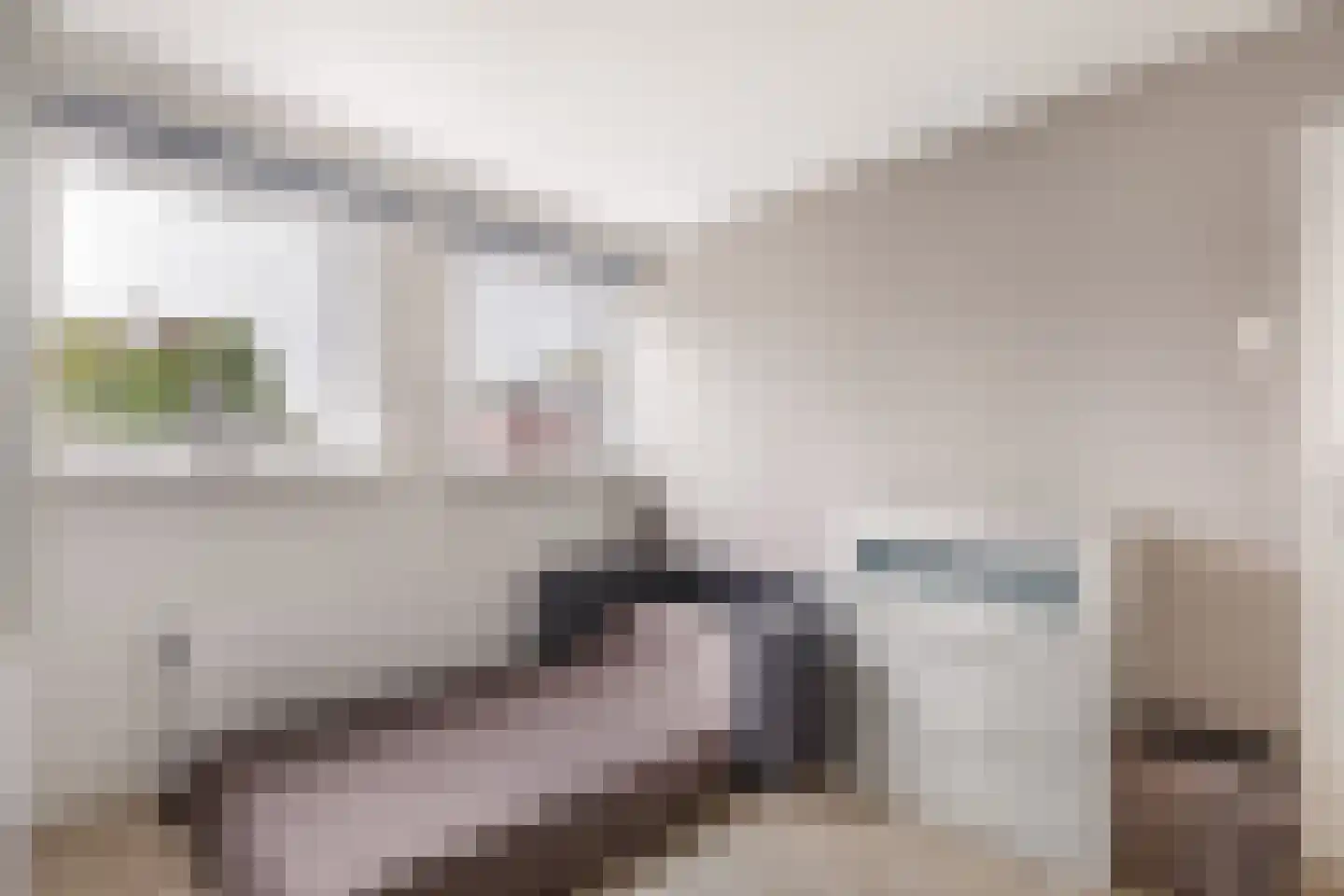 Goeman Borgesiusstraat 78 Amsterdam thumbnail 20