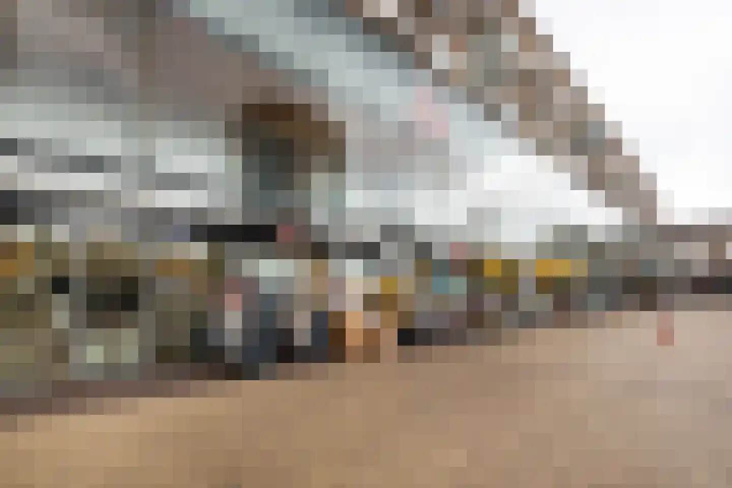 Goeman Borgesiusstraat 78 Amsterdam thumbnail 33