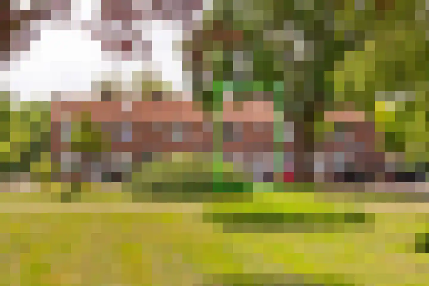 Goeman Borgesiusstraat 78 Amsterdam thumbnail 7