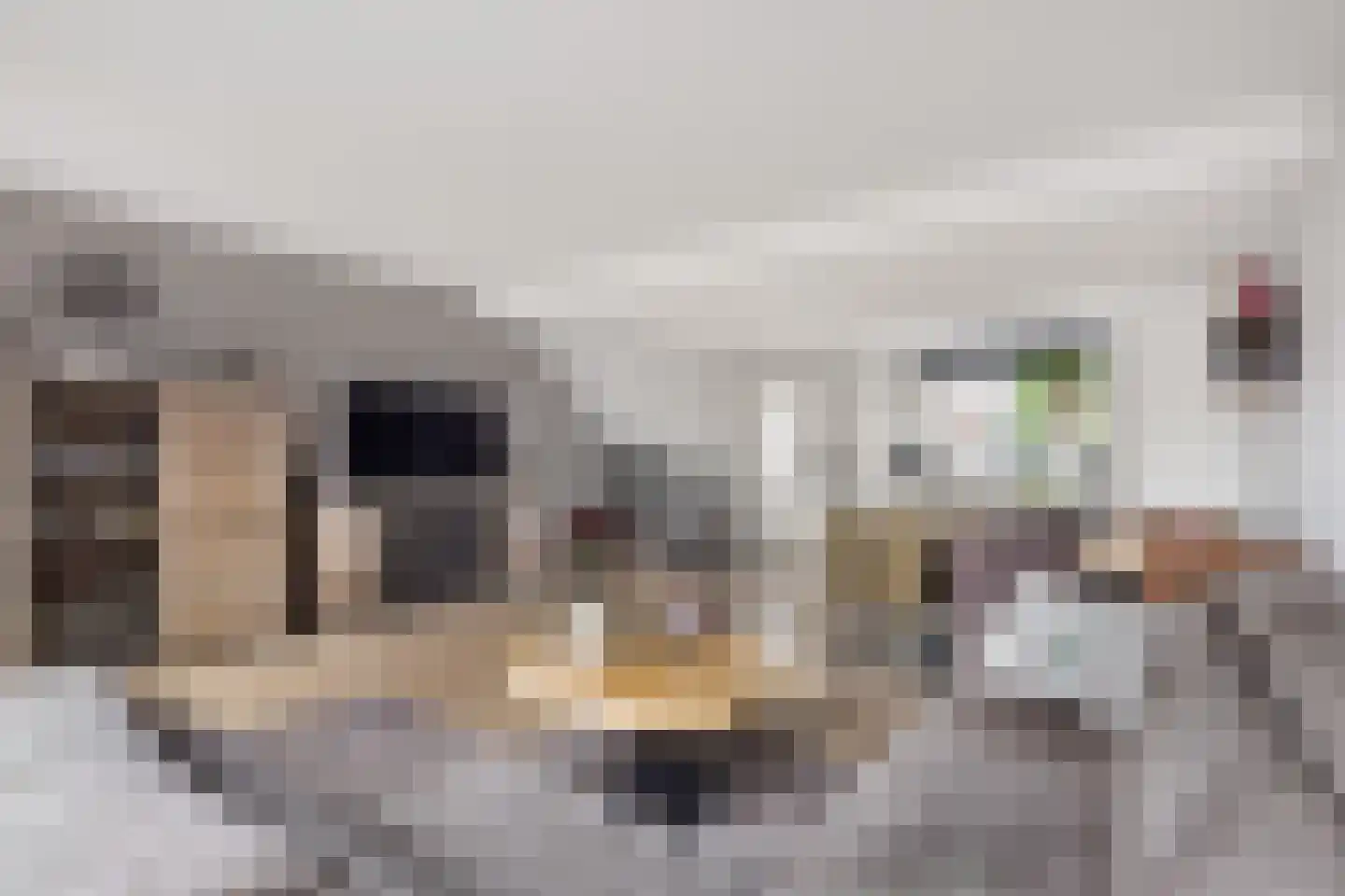 Goeman Borgesiusstraat 78 Amsterdam thumbnail 9
