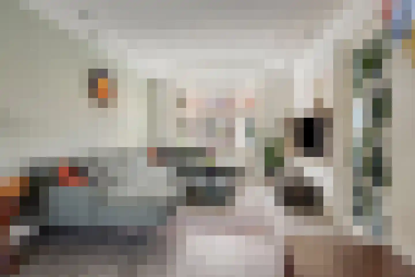 Goeman Borgesiusstraat 8 Zaandijk thumbnail 10