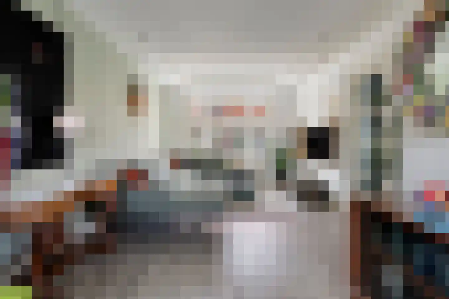 Goeman Borgesiusstraat 8 Zaandijk thumbnail 11