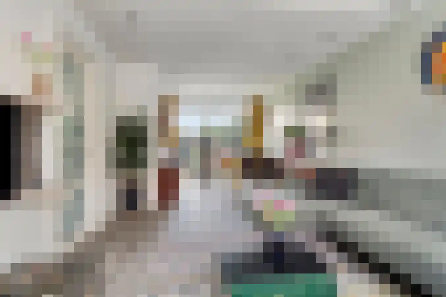 Goeman Borgesiusstraat 8 Zaandijk thumbnail 12