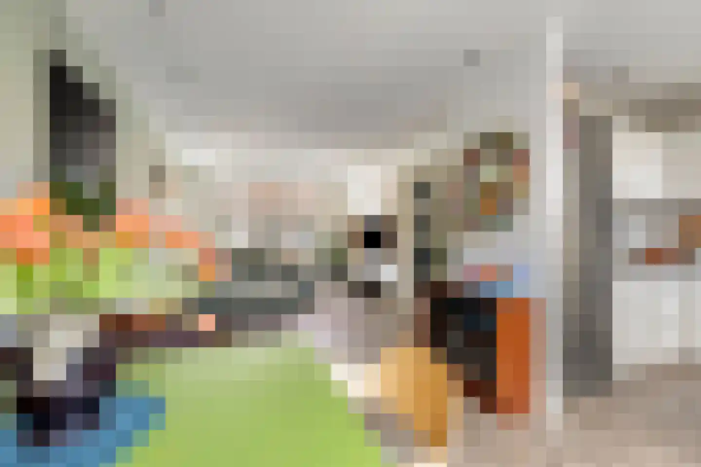 Goeman Borgesiusstraat 8 Zaandijk thumbnail 15