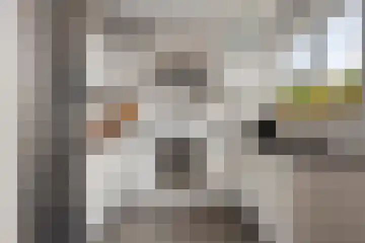 Goeman Borgesiusstraat 8 Zaandijk thumbnail 16