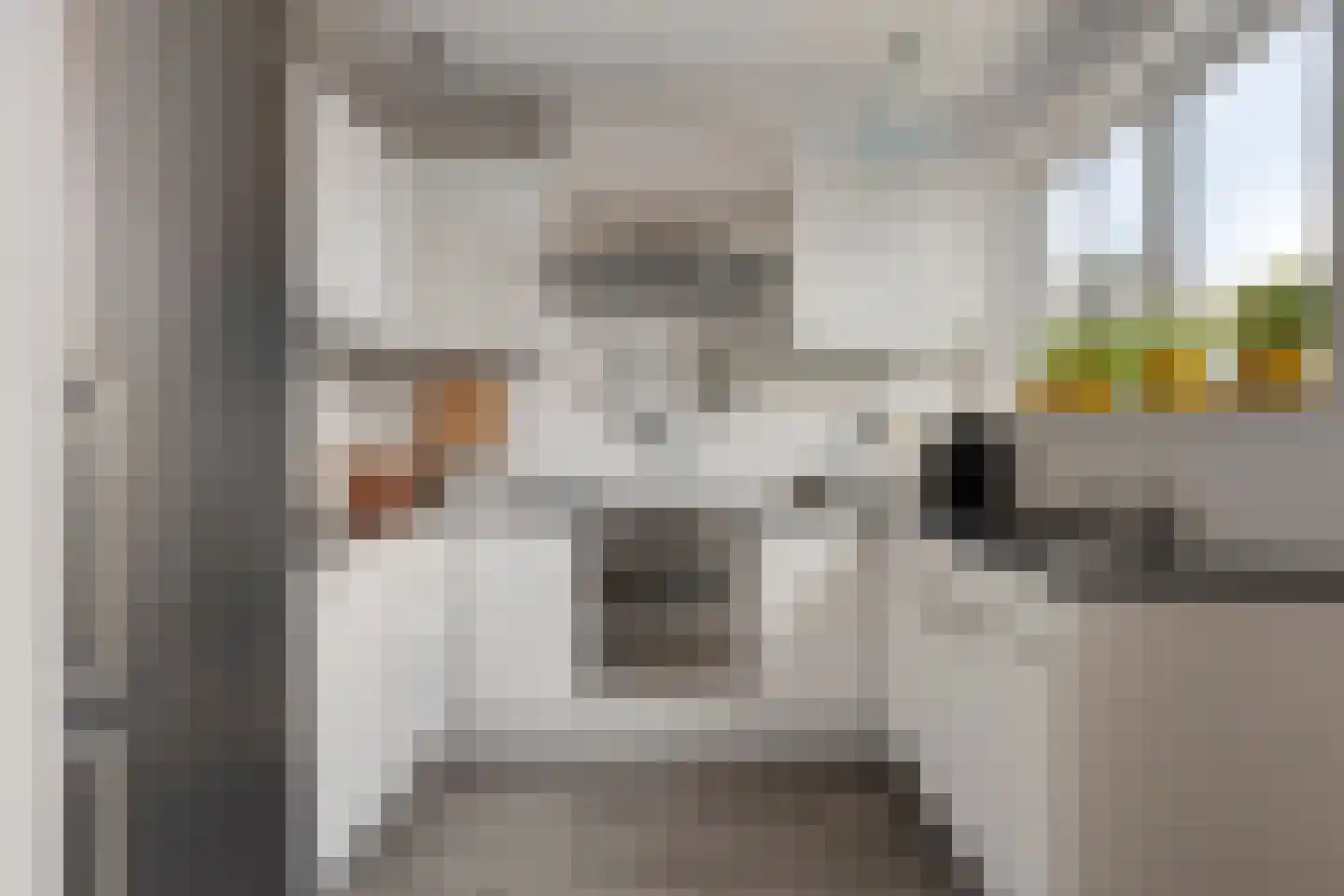 Goeman Borgesiusstraat 8 Zaandijk thumbnail 16