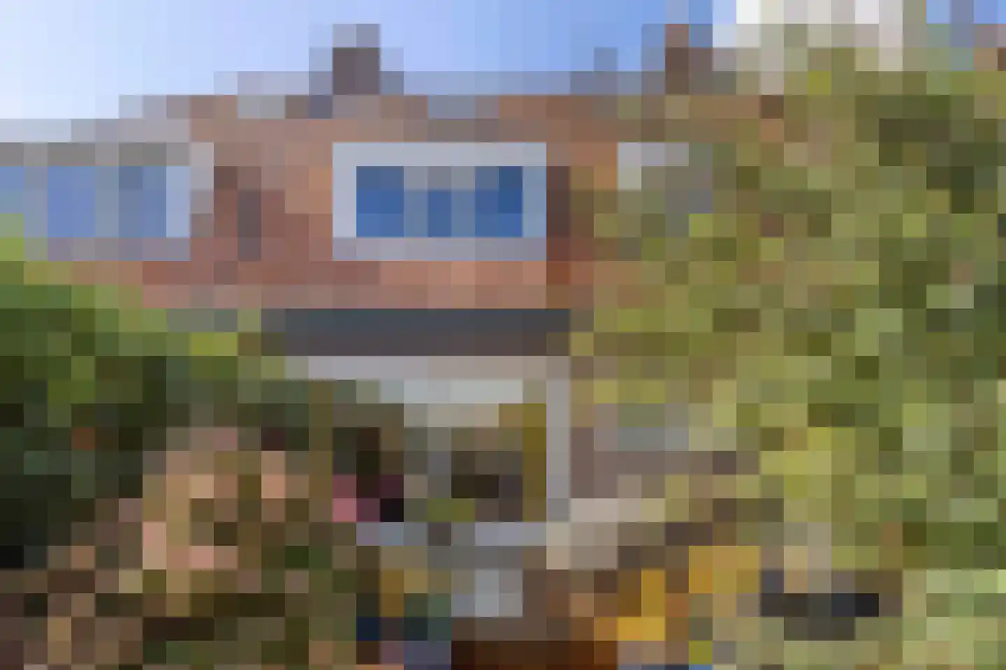 Goeman Borgesiusstraat 8 Zaandijk thumbnail 22