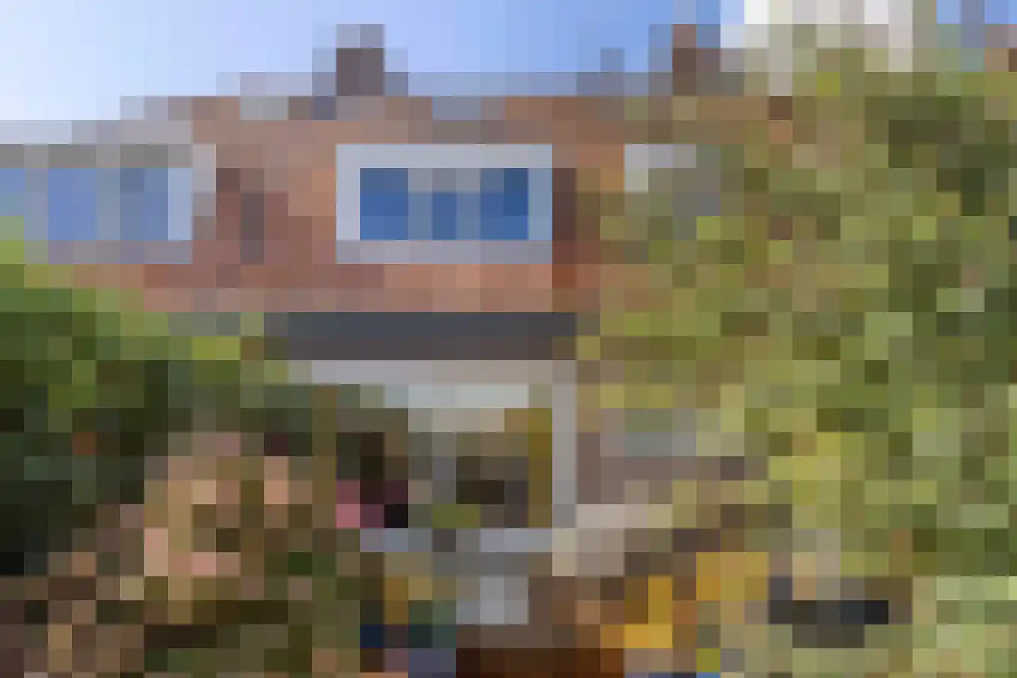 Goeman Borgesiusstraat 8 Zaandijk thumbnail 22