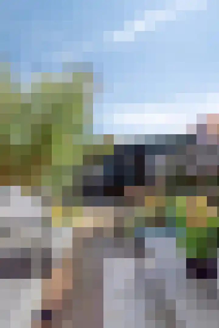 Goeman Borgesiusstraat 8 Zaandijk thumbnail 24