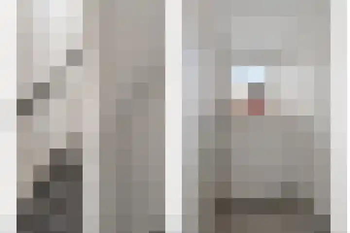 Goeman Borgesiusstraat 8 Zaandijk thumbnail 26