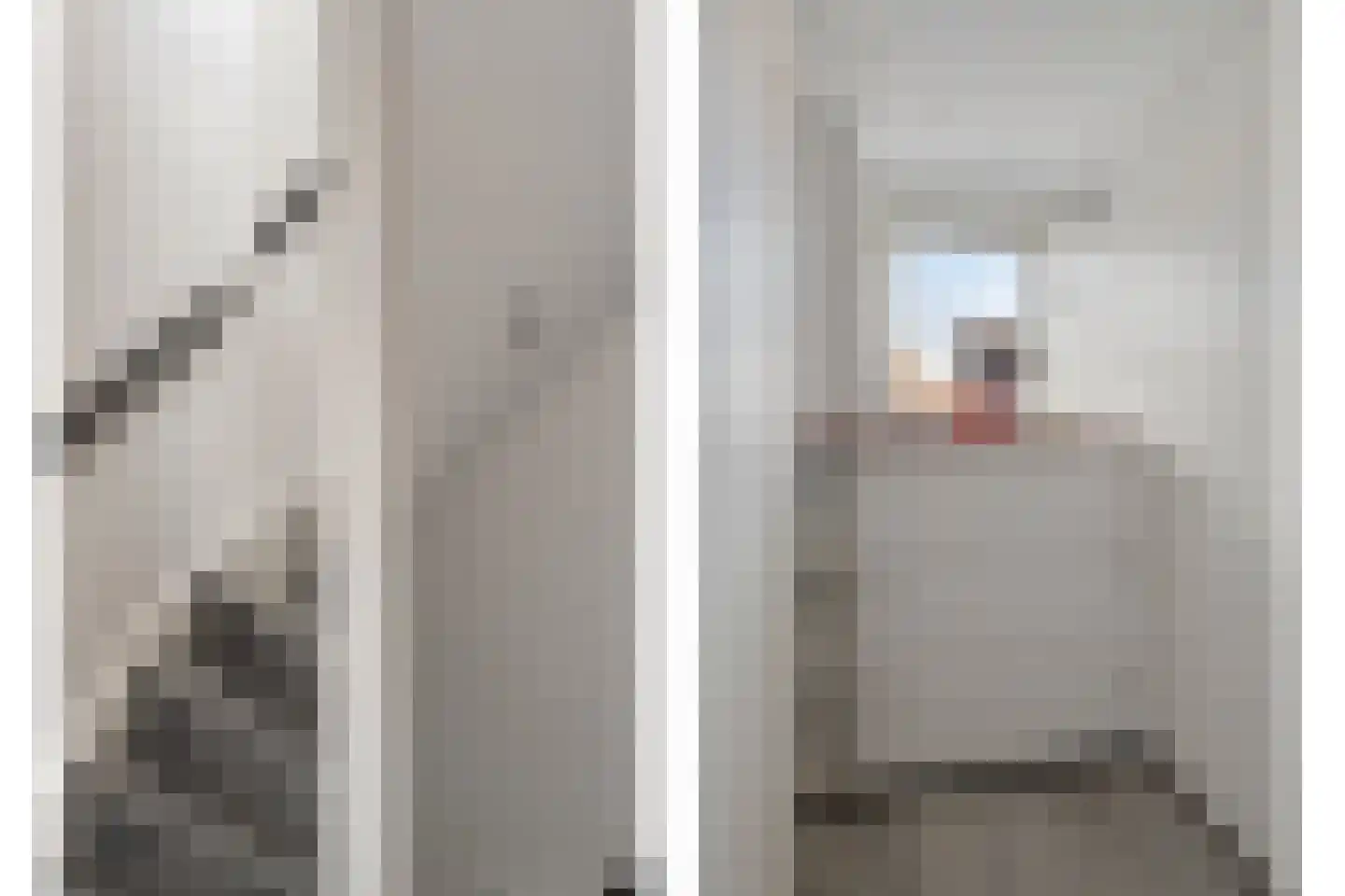 Goeman Borgesiusstraat 8 Zaandijk thumbnail 26