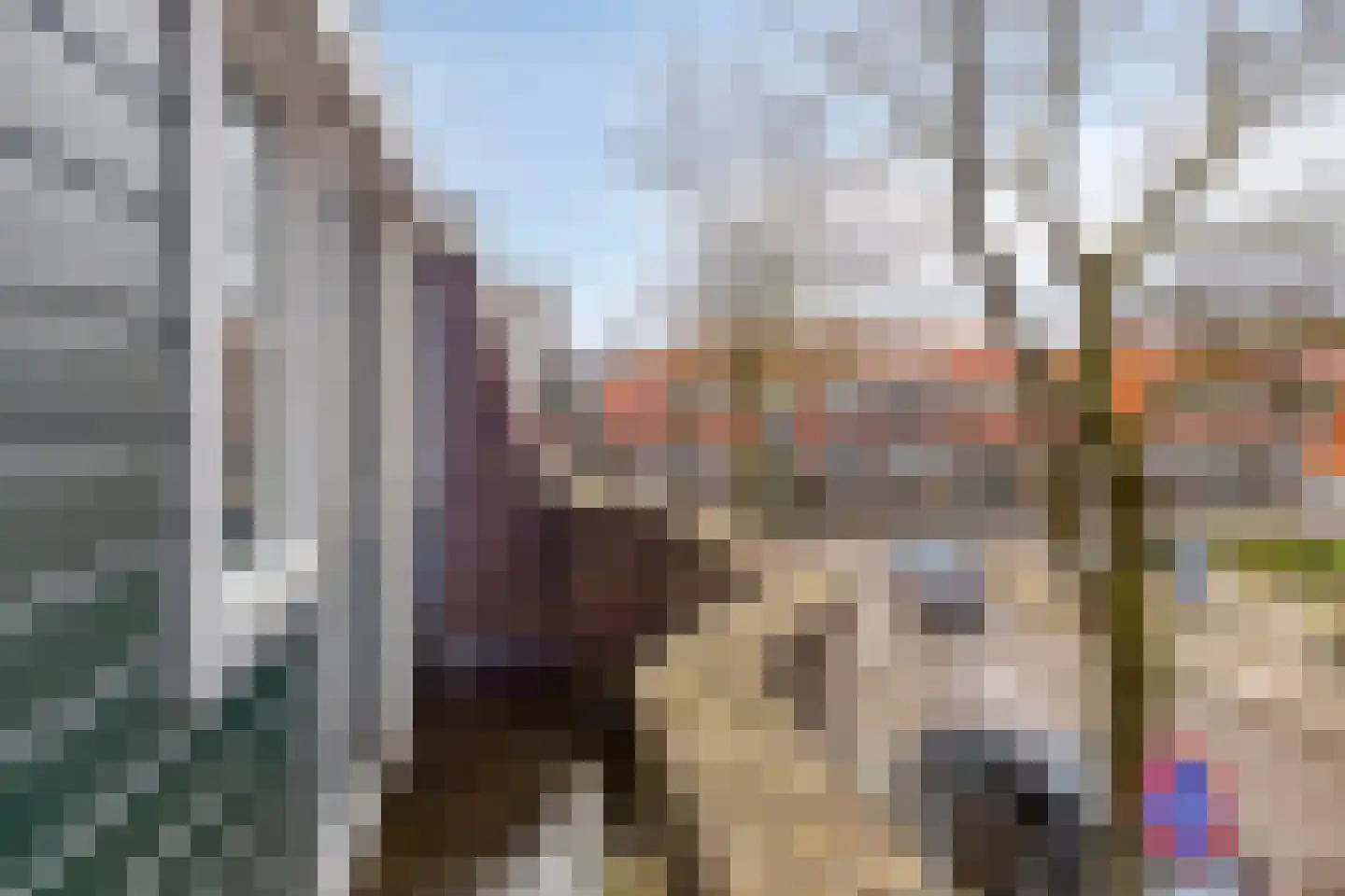 Goeman Borgesiusstraat 8 Zaandijk thumbnail 34
