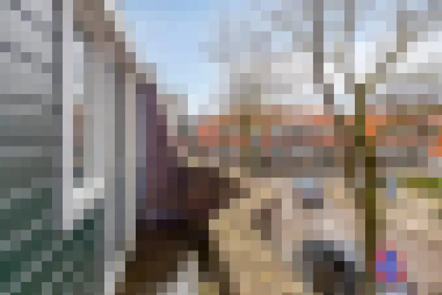 Goeman Borgesiusstraat 8 Zaandijk thumbnail 34