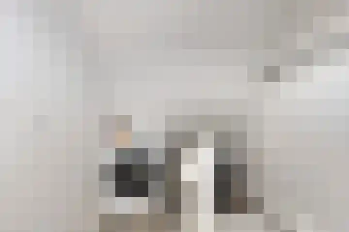 Goeman Borgesiusstraat 8 Zaandijk thumbnail 39