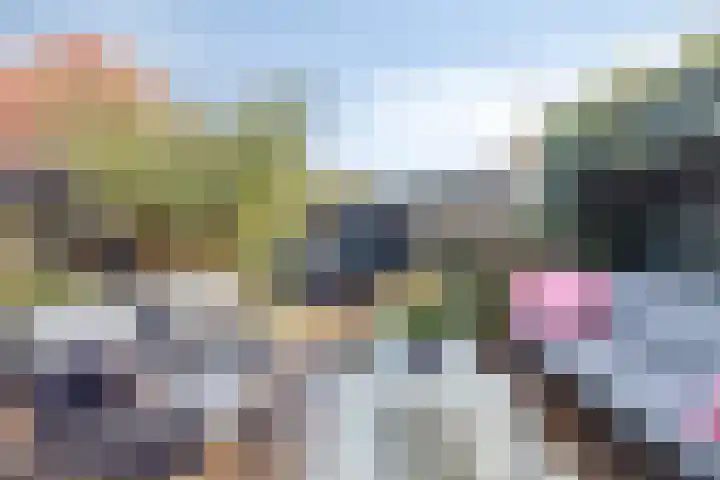 Goeman Borgesiusstraat 8 Zaandijk thumbnail 4
