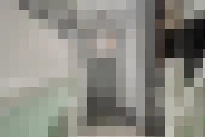 Goeman Borgesiusstraat 8 Zaandijk thumbnail 6