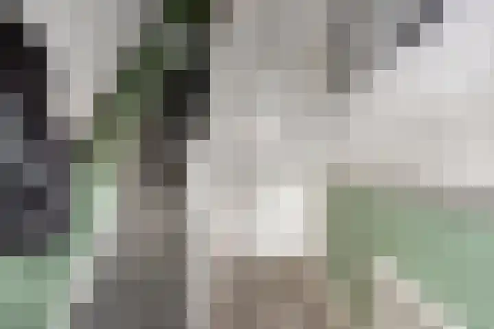 Goeman Borgesiusstraat 8 Zaandijk thumbnail 7