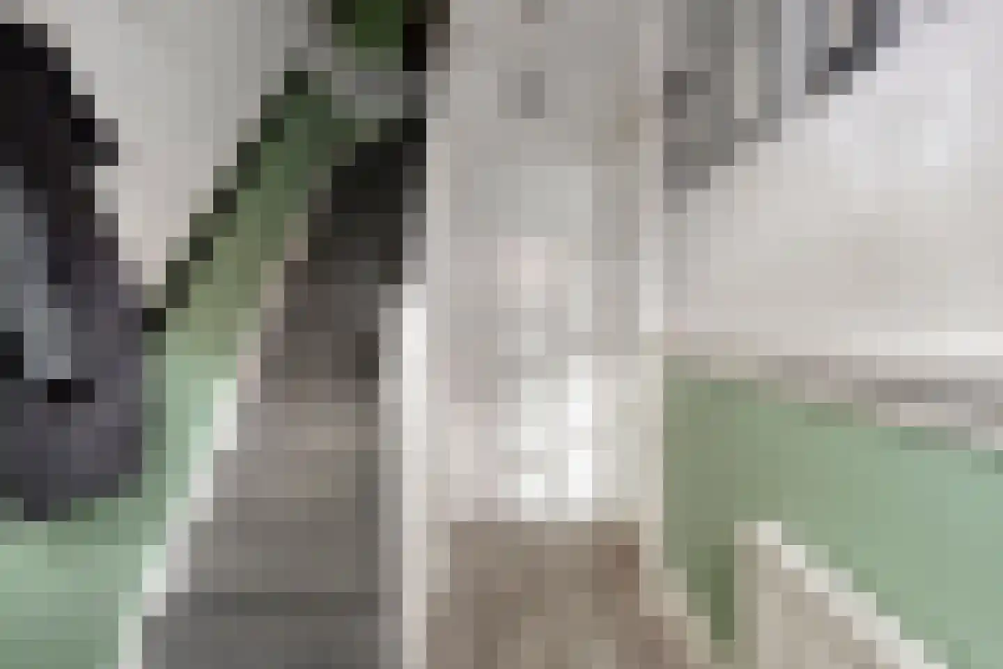 Goeman Borgesiusstraat 8 Zaandijk thumbnail 7