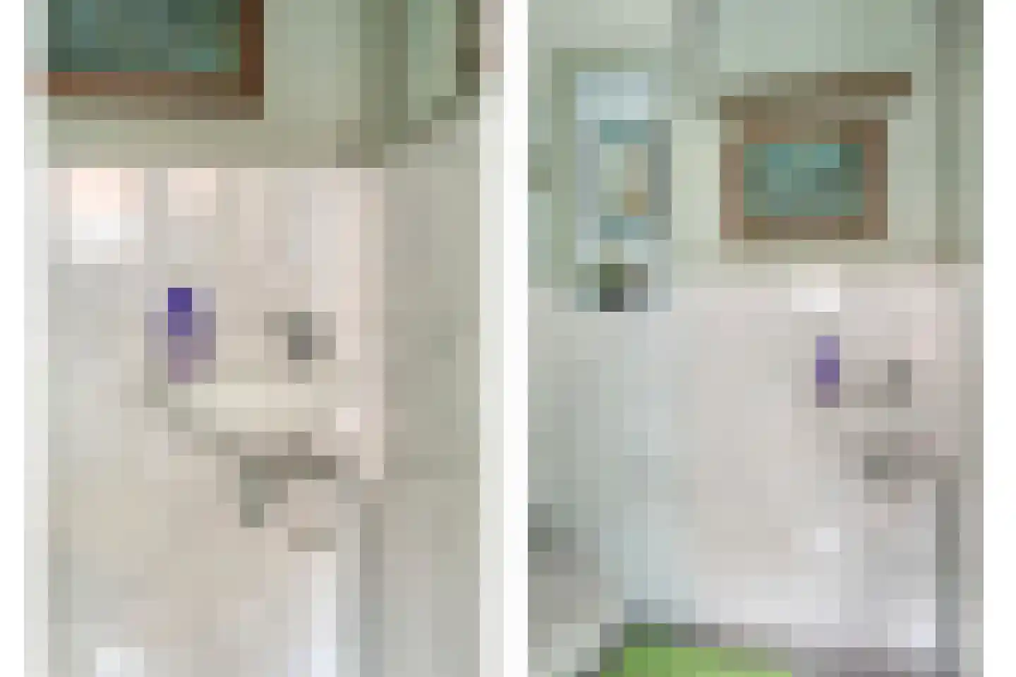 Goeman Borgesiusstraat 8 Zaandijk thumbnail 8