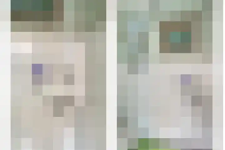 Goeman Borgesiusstraat 8 Zaandijk thumbnail 8