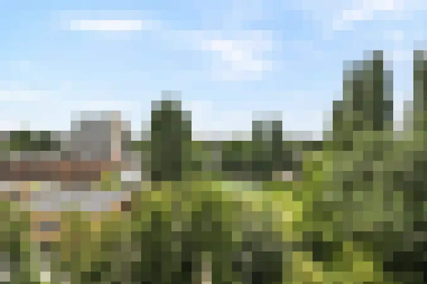 Goereesepad 115 Amstelveen thumbnail 13