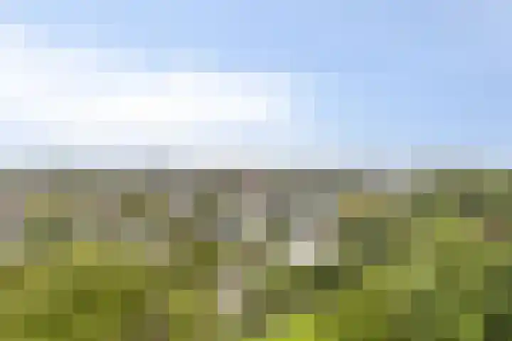 Goereesepad 119 Amstelveen thumbnail 19