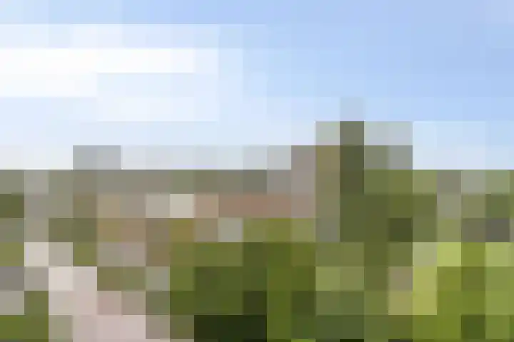 Goereesepad 119 Amstelveen thumbnail 20