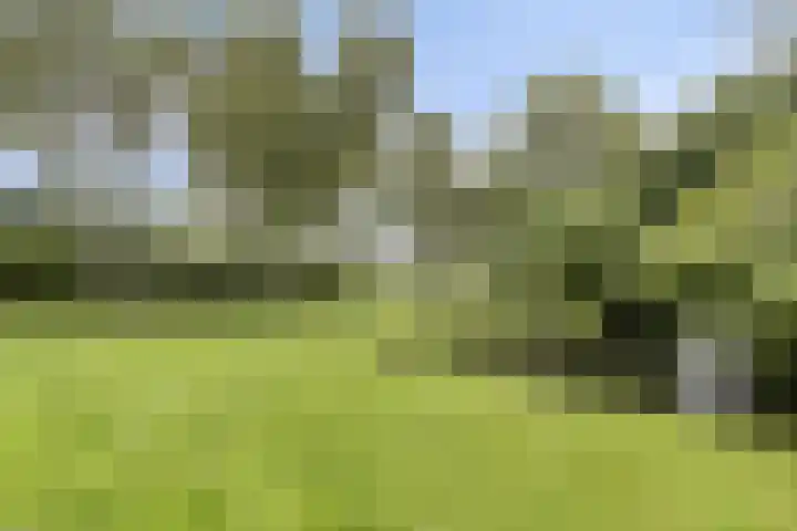 Goereesepad 119 Amstelveen thumbnail 21