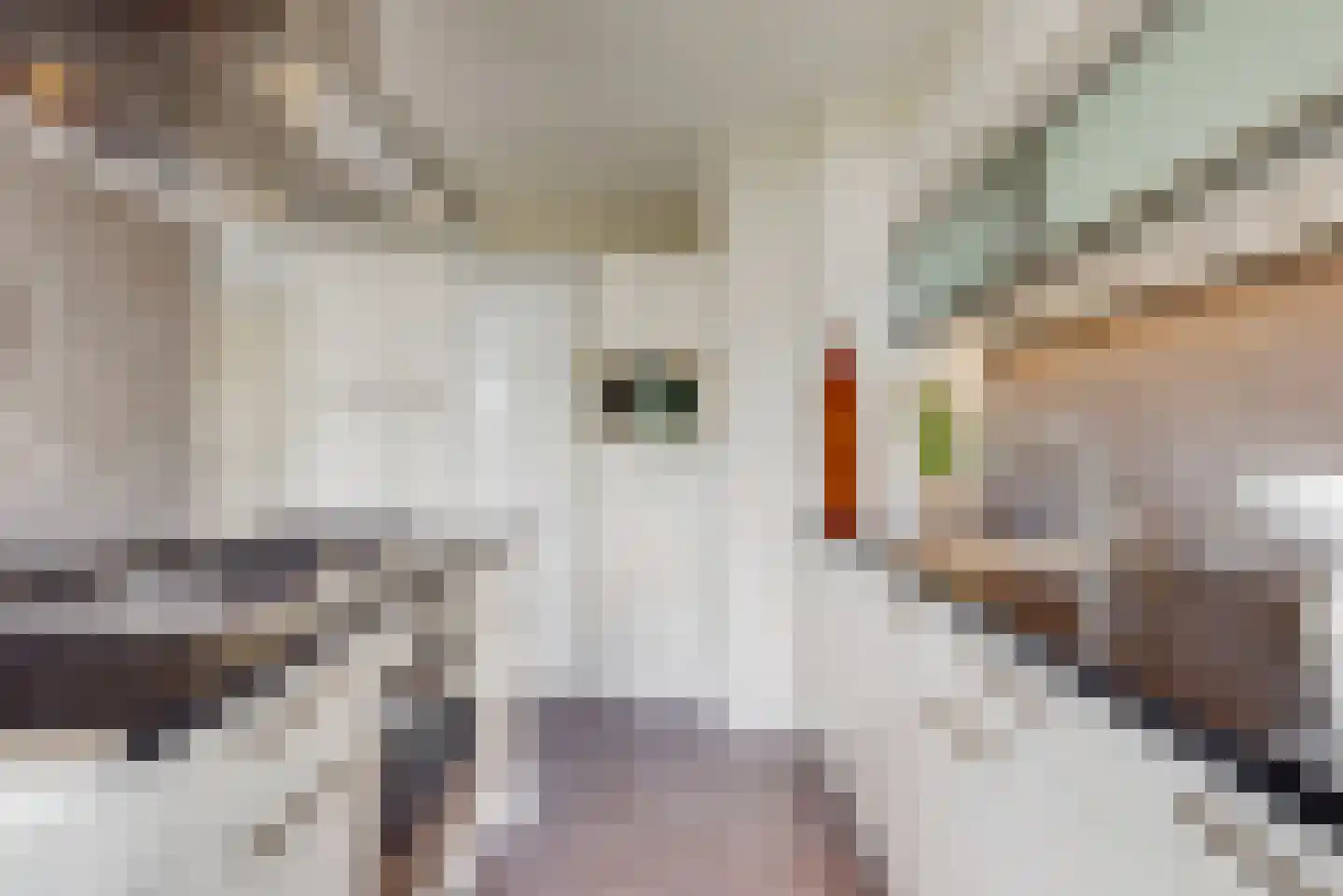 Goereesepad 125 Amstelveen thumbnail 13