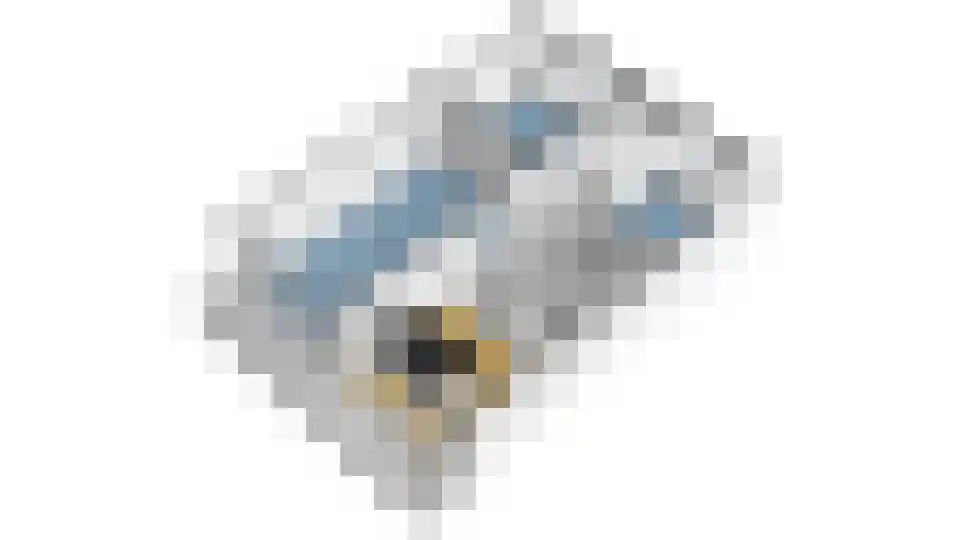 Goereesepad 41 Amstelveen thumbnail 46