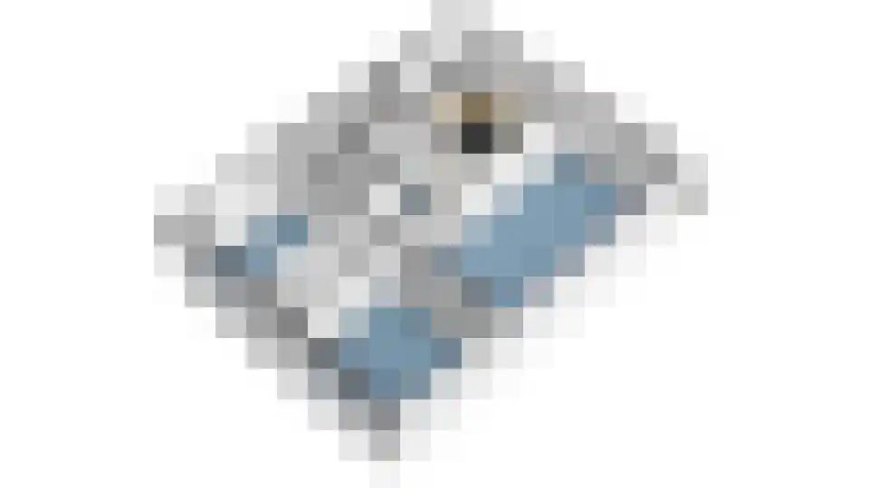 Goereesepad 41 Amstelveen thumbnail 47