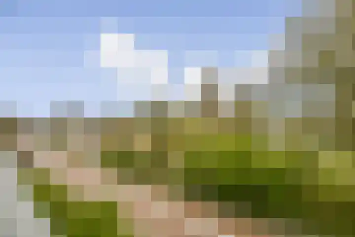 Goereesepad 57 Amstelveen thumbnail 20