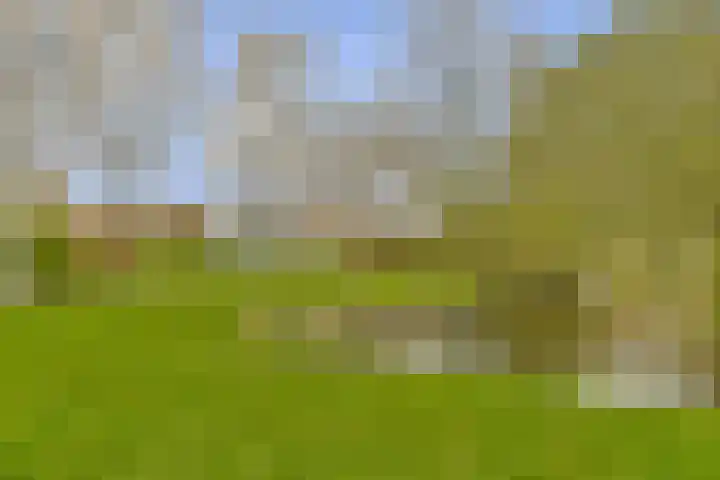 Goereesepad 57 Amstelveen thumbnail 23