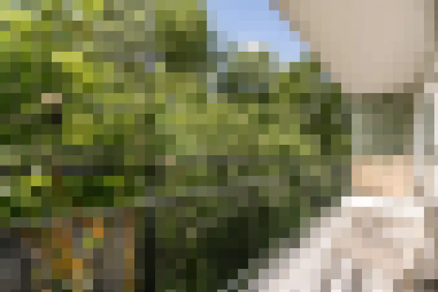 Goereesepad 7 Amstelveen thumbnail 13