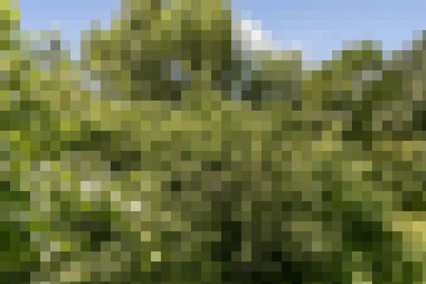 Goereesepad 7 Amstelveen thumbnail 14