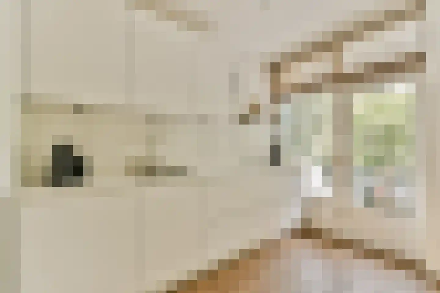 Goereesepad 7 Amstelveen thumbnail 15